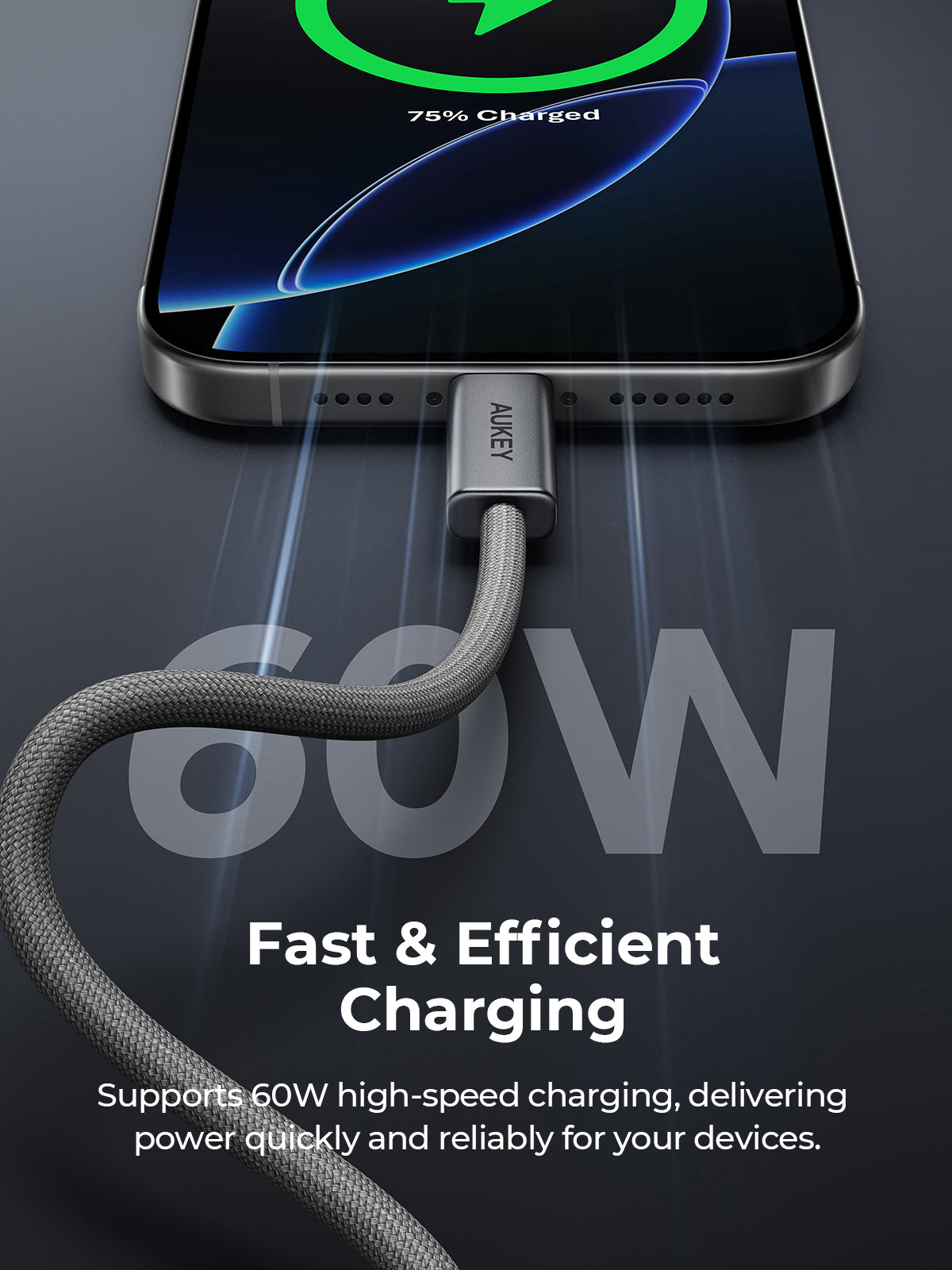 Aukey Circlet Blink 1m 60W DTY Braided USB-C to C Cable  (CB-DCC061)